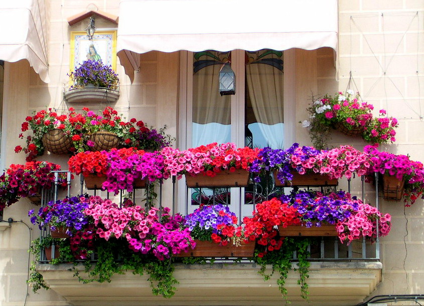 Italian balcony garden idea