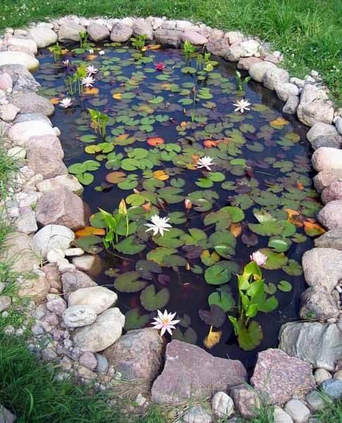 Natural looking pond