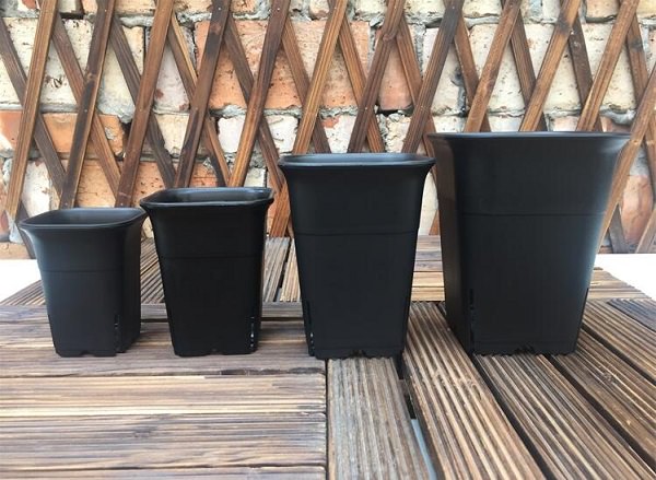 Adequate containers for growing tomatoes in them