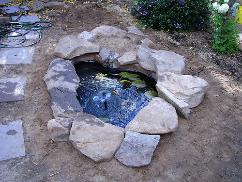 Medium backyard fish pond