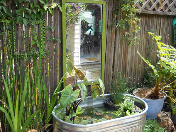 Farm stock tub converted into a backyard container pond