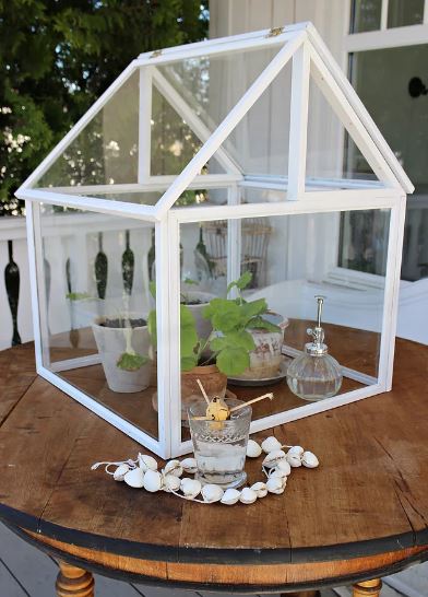 Table Top Greenhouse