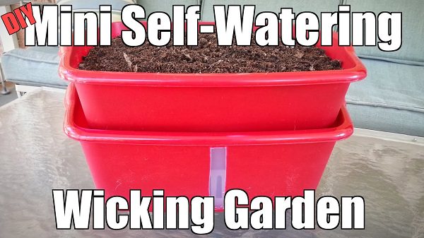 wicking bed self watering container