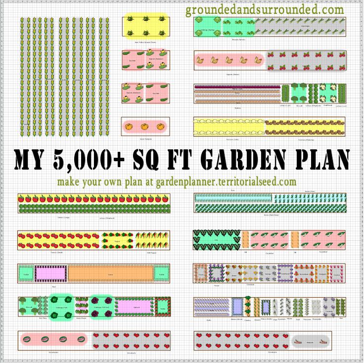 5,000 Square Foot Vegetable Garden Plan