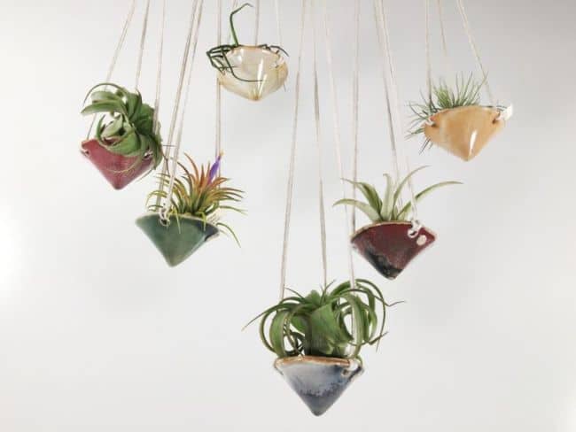 Cute Cone Hanging Air Plant Holders