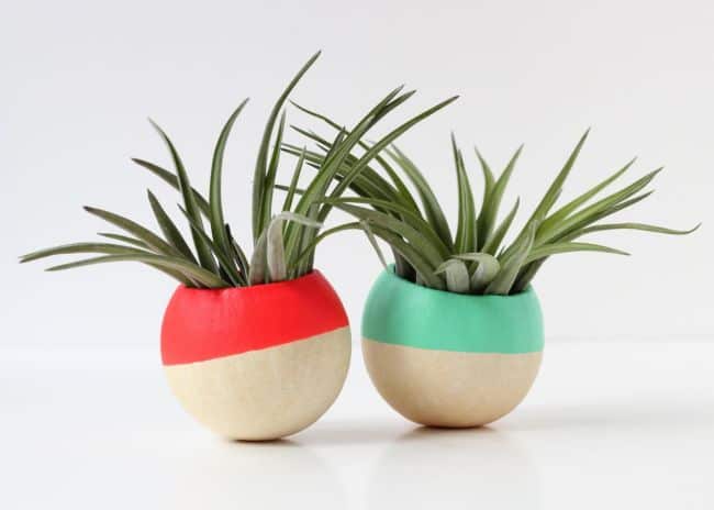 Hand Dipped Air Plant Pots Display