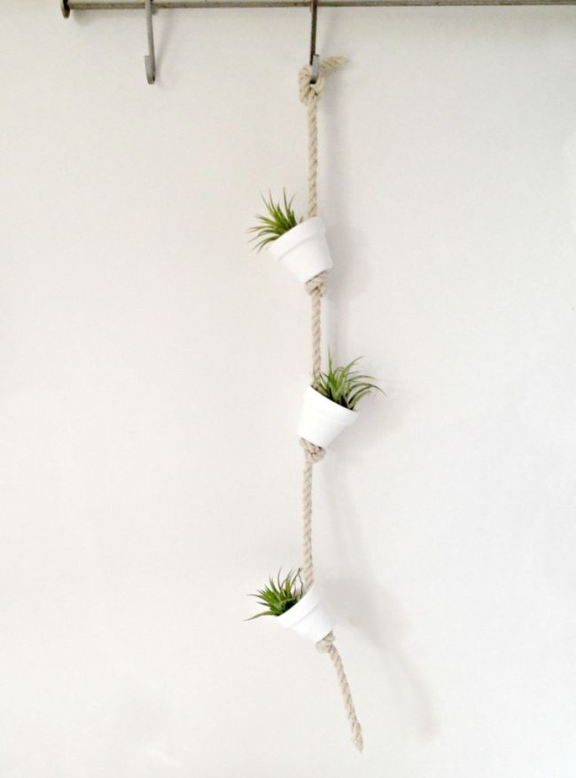  Hanging Air Plants In White Clay Pots