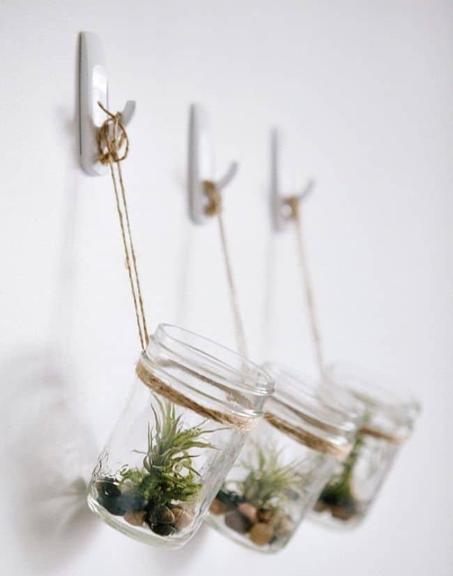 Hanging jars air plants display