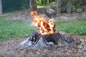 How to Kill a Tree Stump through fire