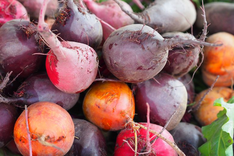 The most effective tips for growing Beetroot