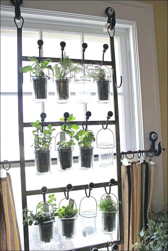 DIY Indoor Window Gardens 10