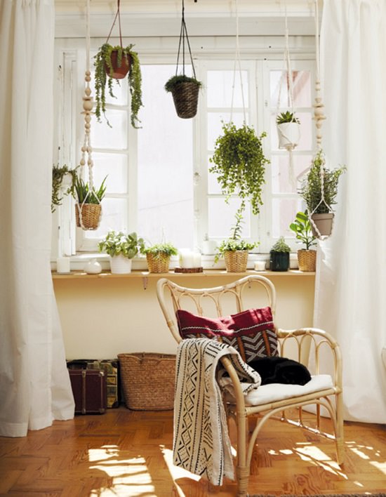 DIY Indoor Window Gardens 15