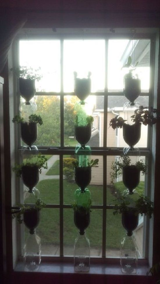 DIY Indoor Window Gardens 6