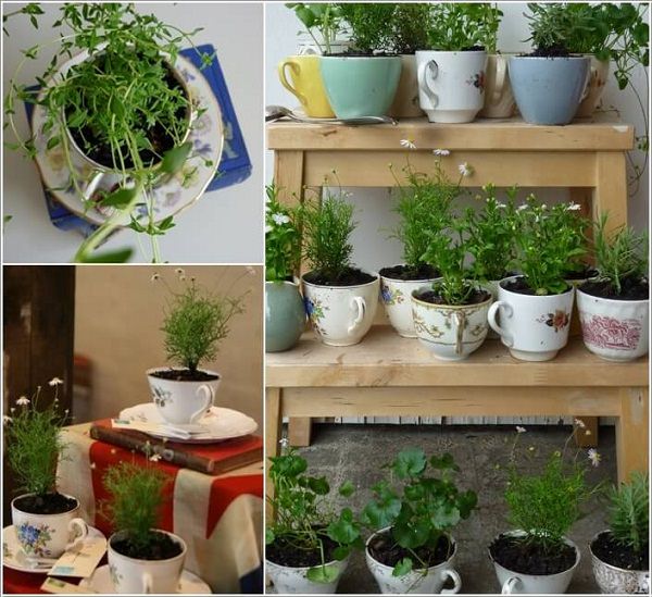 Indoor Small Herb Gardens 1