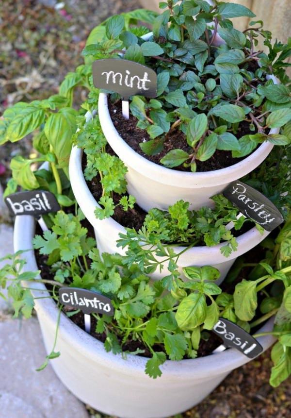 Indoor Small Herb Gardens 