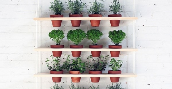 Indoor Small Herb Gardens 11