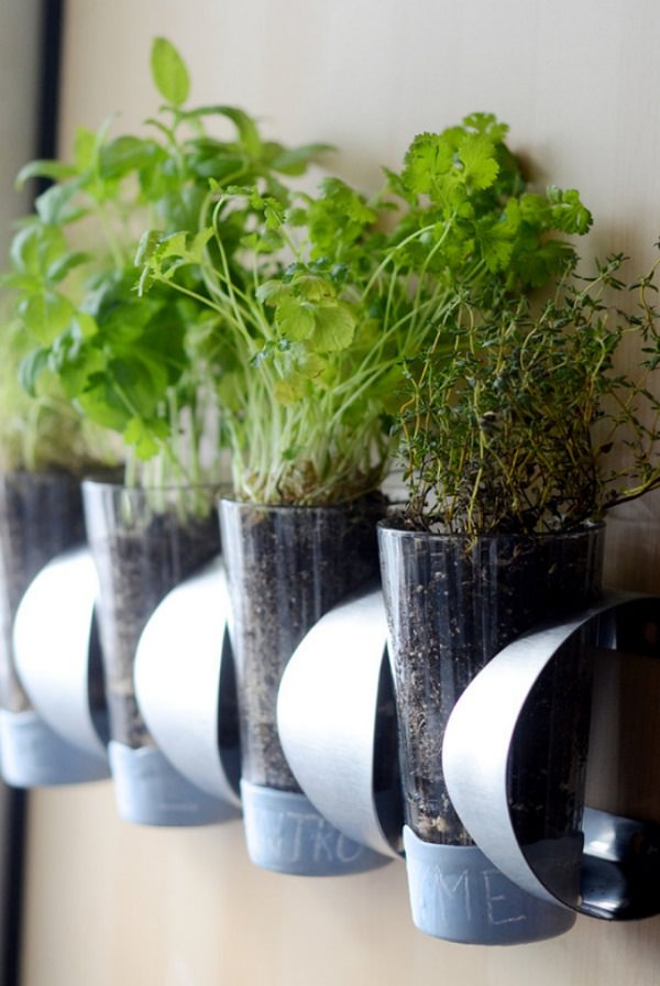 Indoor Small Herb Gardens 12