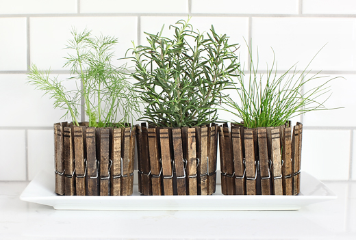 Indoor Small Herb Gardens 13