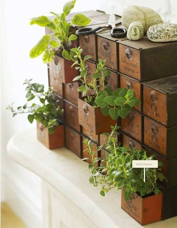 Indoor Small Herb Gardens 14