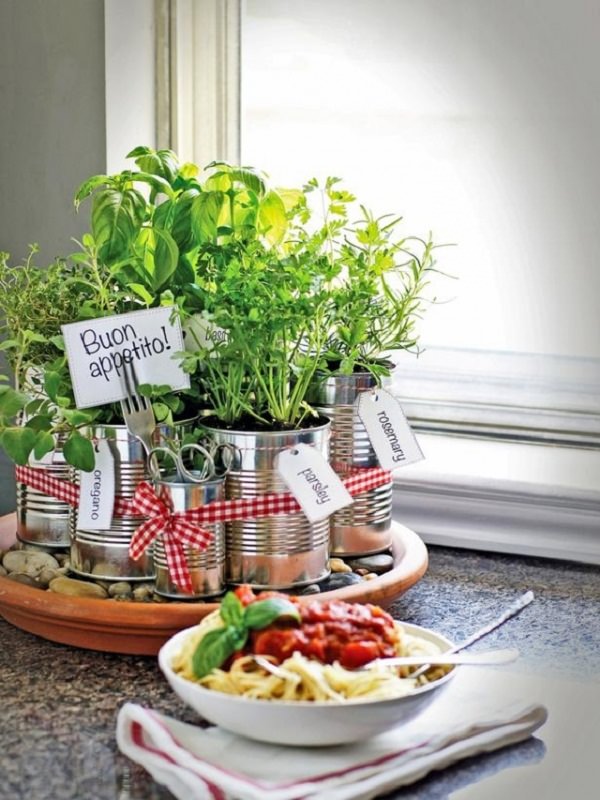 Indoor Small Herb Gardens 15