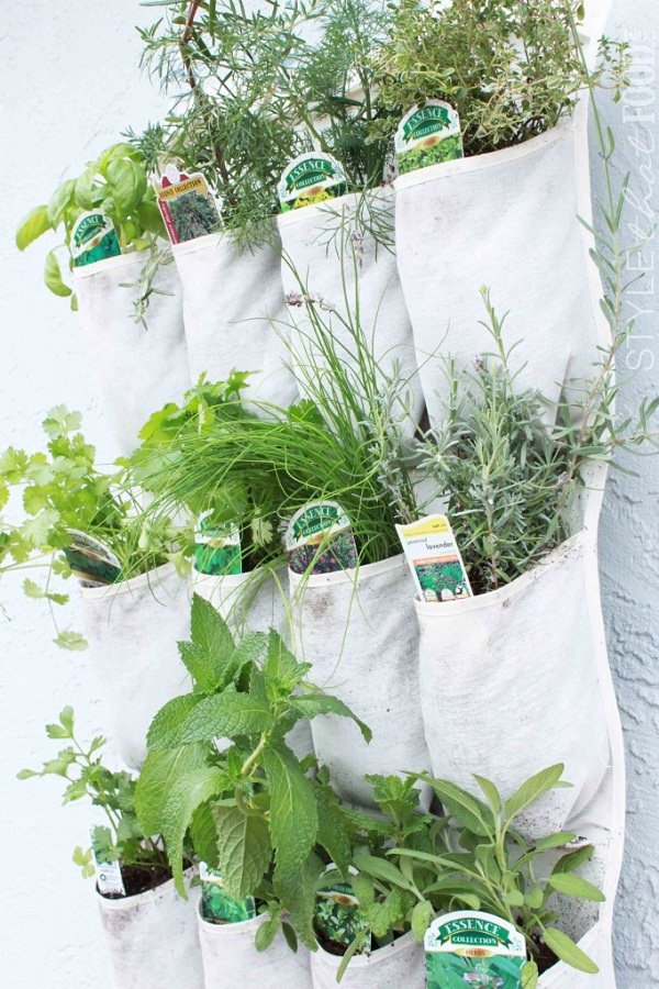 Indoor Small Herb Gardens 18