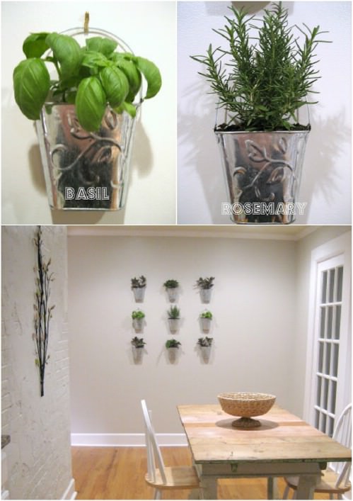 Indoor Small Herb Gardens 23