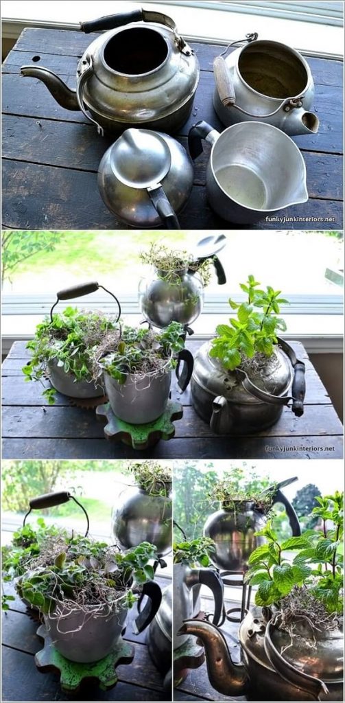 Indoor Small Herb Gardens 3