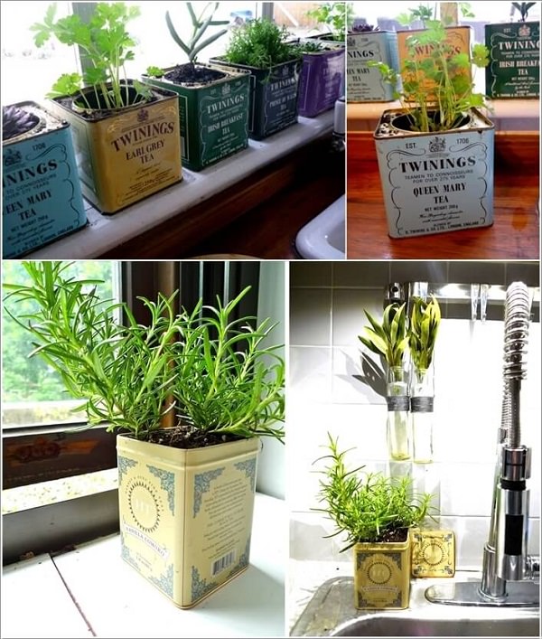 Indoor Small Herb Gardens 4