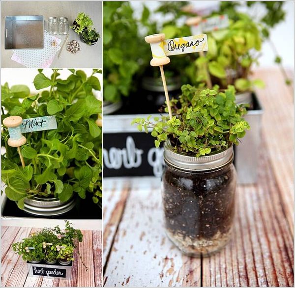 Indoor Small Herb Gardens 5