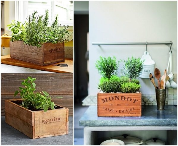 Indoor Small Herb Gardens 7