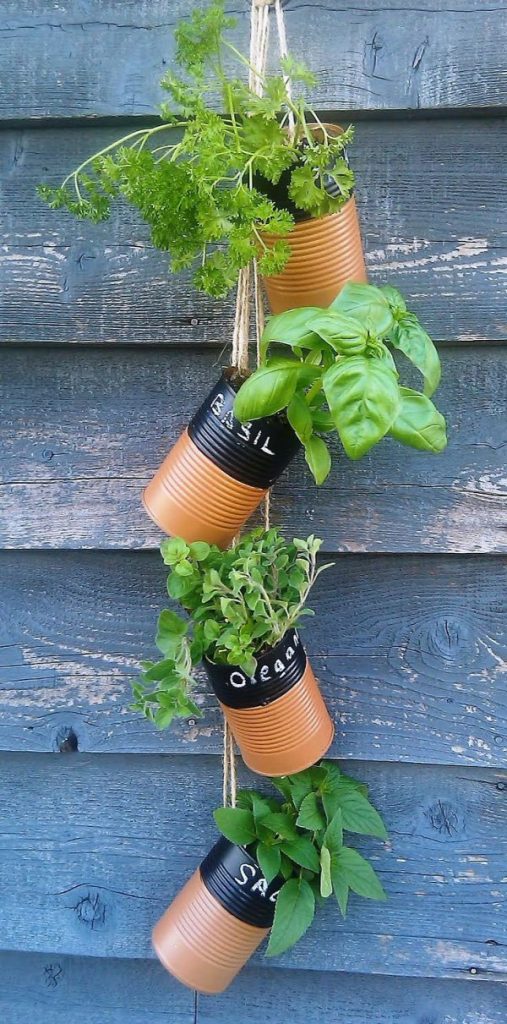 Indoor Small Herb Gardens 9