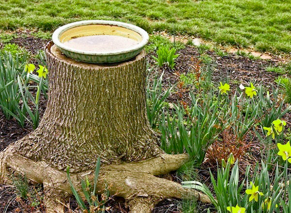 Tree Stump Decorations 22