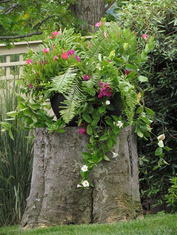 Tree Stump Decorations 3