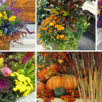 15+ Wonderful Fall Container Garden Ideas That Will Amaze You