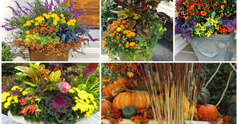 15+ Wonderful Fall Container Garden Ideas That Will Amaze You
