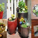 10 Best Indoor and Outdoor Succulent Gardens Ideas