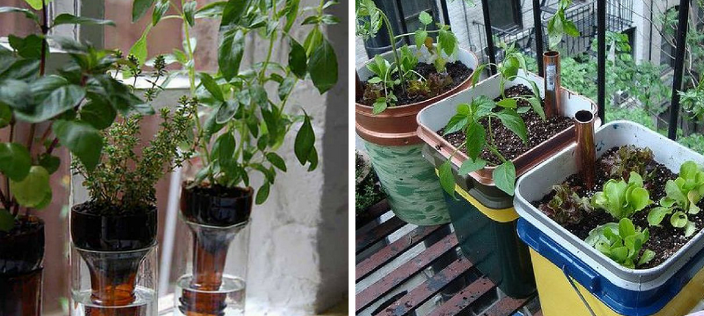 self-watering containers