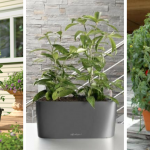 http://lifeknowhow.net/self-watering-tomato-planters
