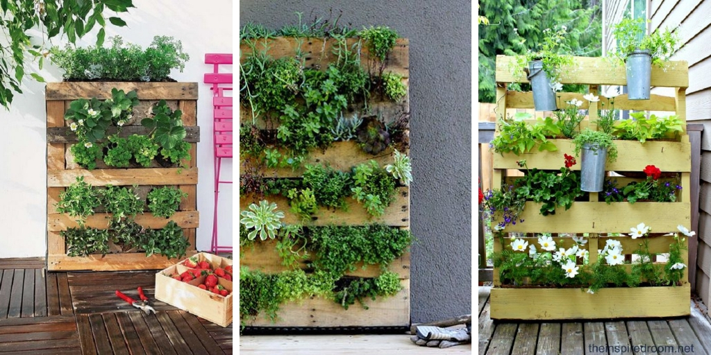 DIY Vertical pallet garden ideas