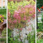 20 Impressive tree stump planters that you will love