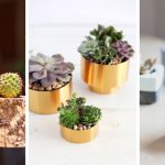 30 Fascinating Succulent planters you should definitely see