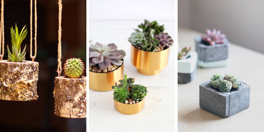 30 Fascinating Succulent planters you should definitely see