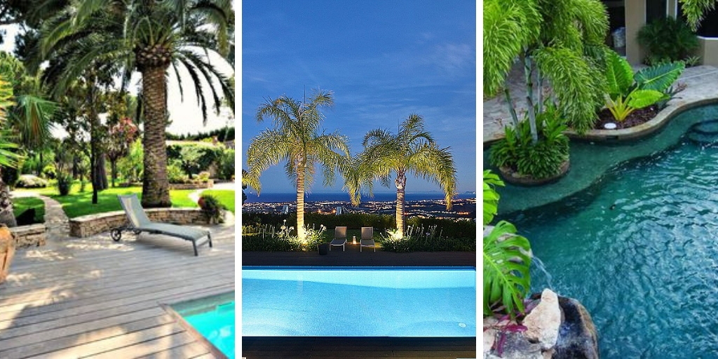 9 incredibly decorative trees for pool landscaping