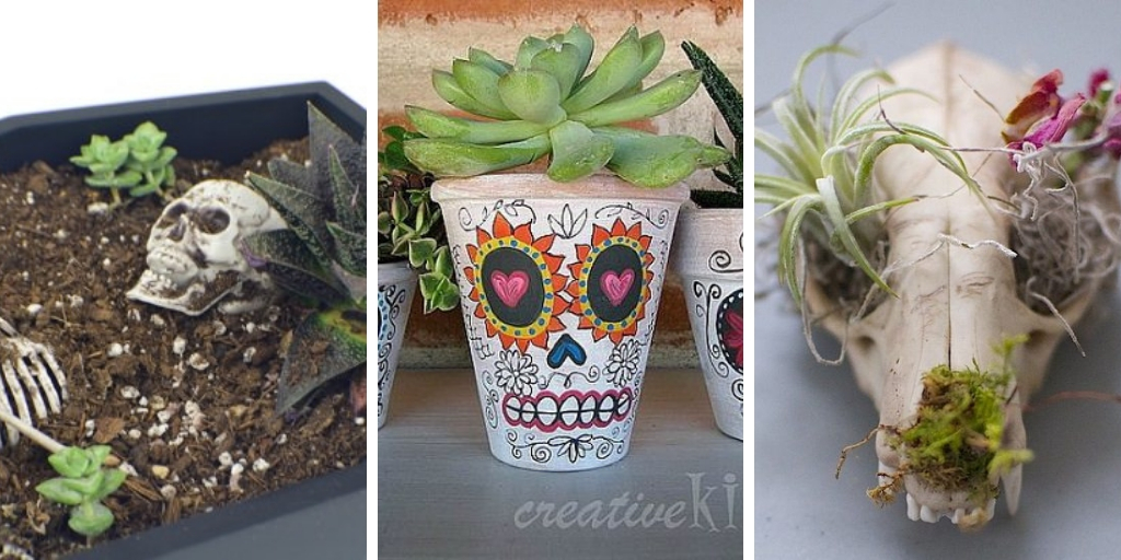 11 DIY Halloween Planters That Will Amaze You