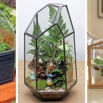 15 Creative DIY Mini Indoor Greenhouses
