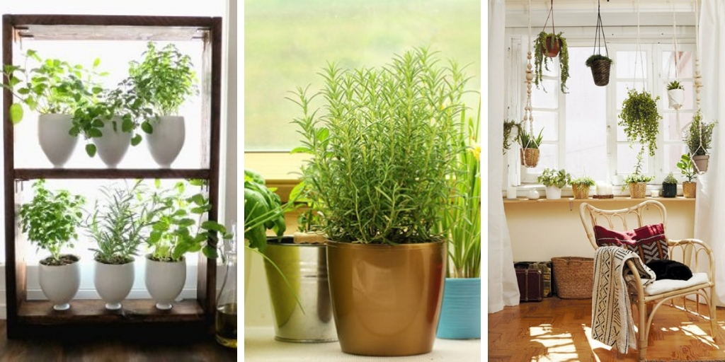 16 Fabulous DIY Indoor Window Gardens That Will Inspire You