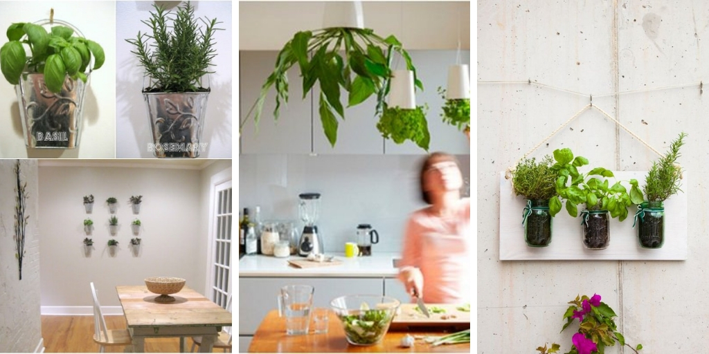 23 Indoor Small Herb Gardens That Will Inspire You