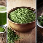 How Grow Chlorella