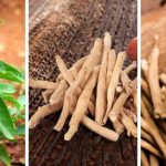 How to Grow Ashwagandha