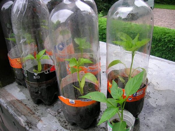 22 Genius Gardening Hacks That You'll Be Glad to Know